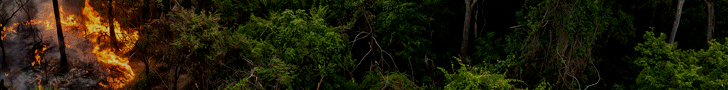 BANNER-QUEIMADAS AGOST/2026